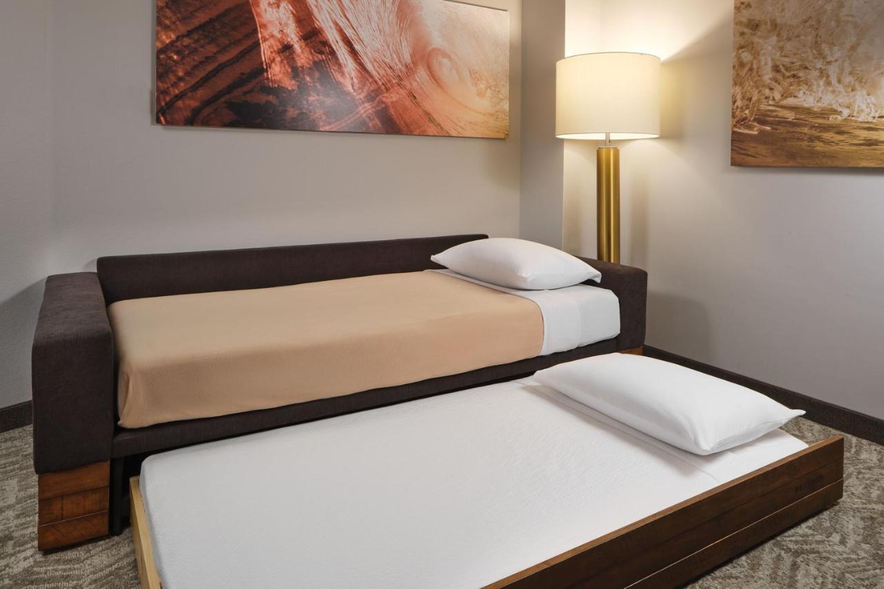 Springhill Suites By Marriott Jacksonville Baymeadows Экстерьер фото